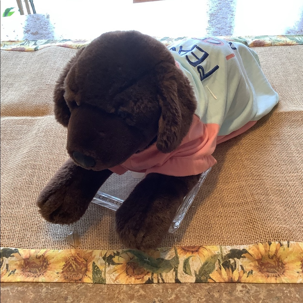 KNIT PET SHIRT BY ELLEN DEGENERES